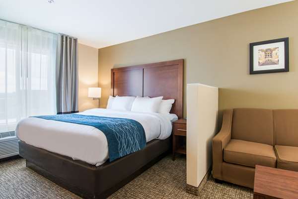 Suite - Comfort Inn & Suites Harrisburg - I-83, Exit 48