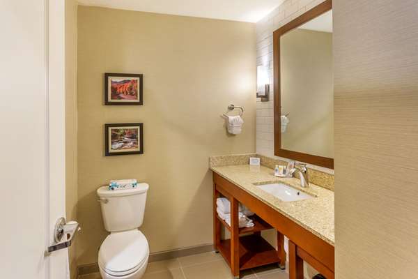 Suite - Comfort Inn Logan
