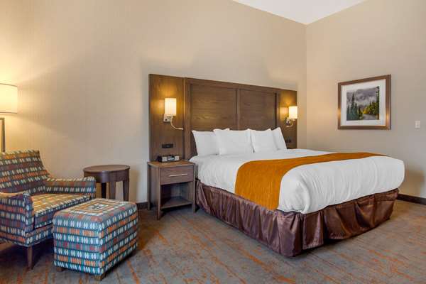 Suite - Comfort Inn & Suites Brighton - I-76, Exit 21