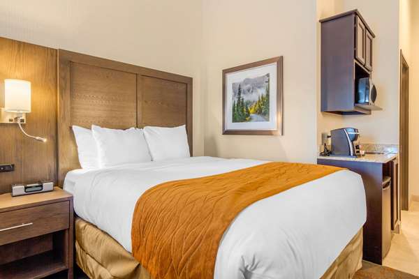 Suite - Comfort Inn & Suites Brighton - I-76, Exit 21