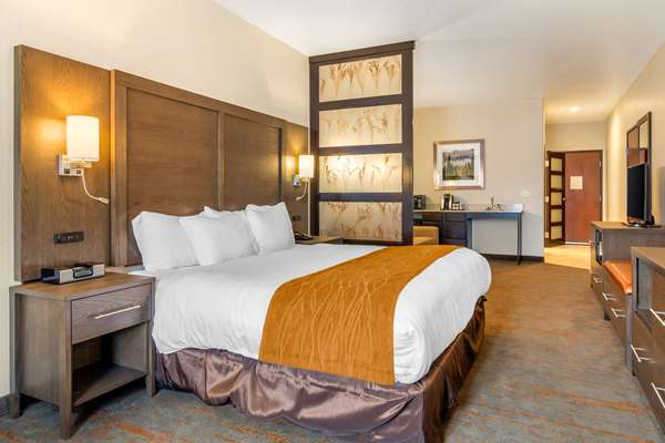 Suite - Comfort Inn & Suites Brighton - I-76, Exit 21