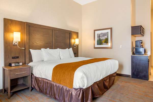 Suite - Comfort Inn & Suites Brighton - I-76, Exit 21