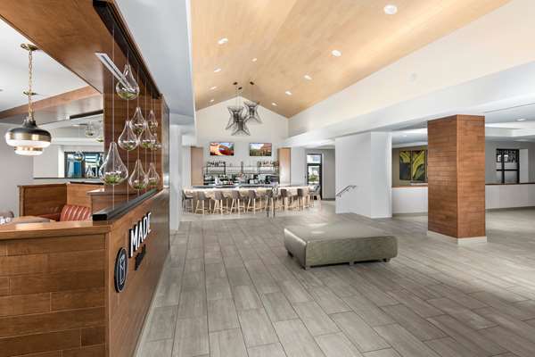 Bar - DoubleTree by Hilton Chandler - I-10, Exit 160