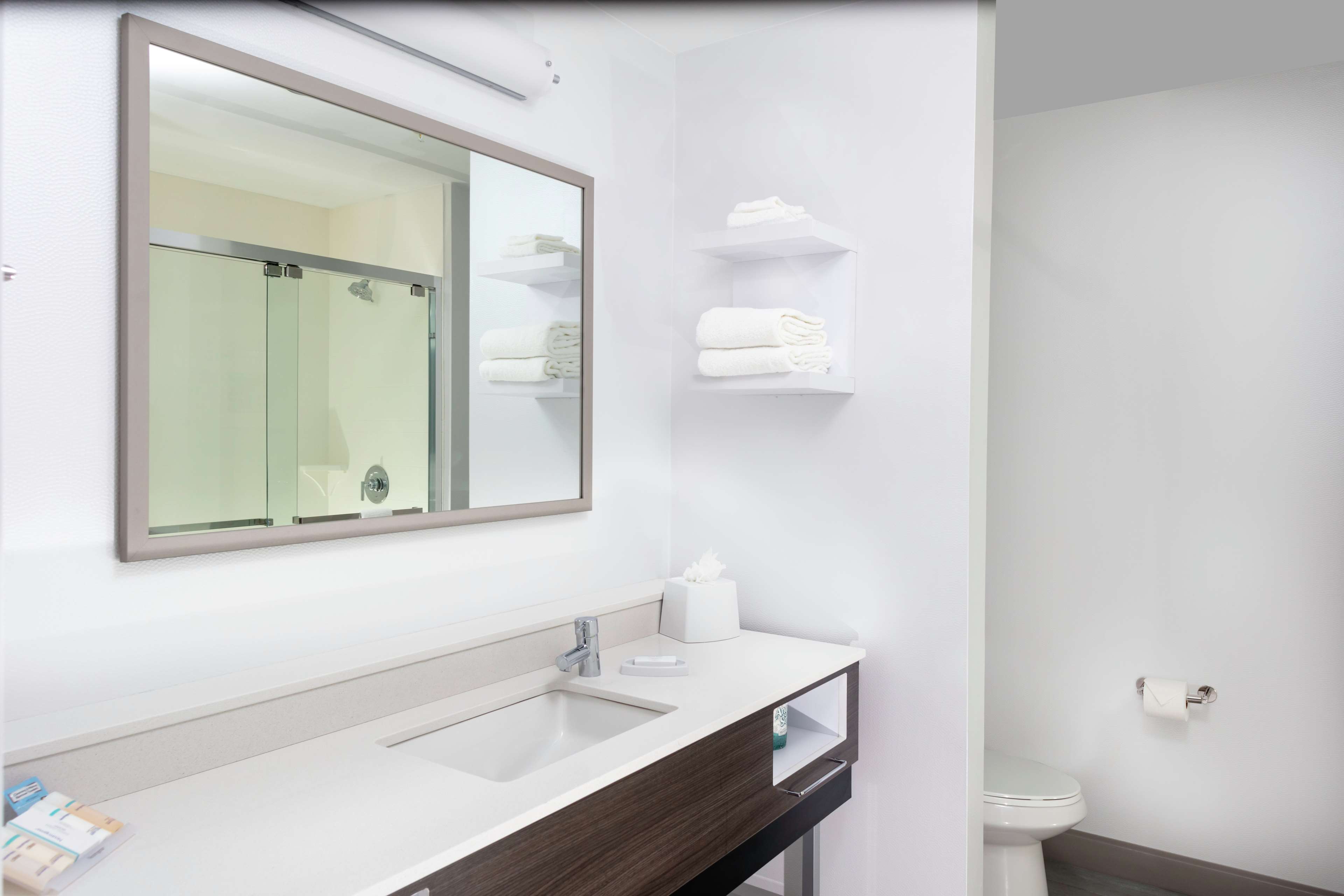 Hampton Inn by Hilton Dunedin Room Type - KING BALCONY W FRIDGE MICR