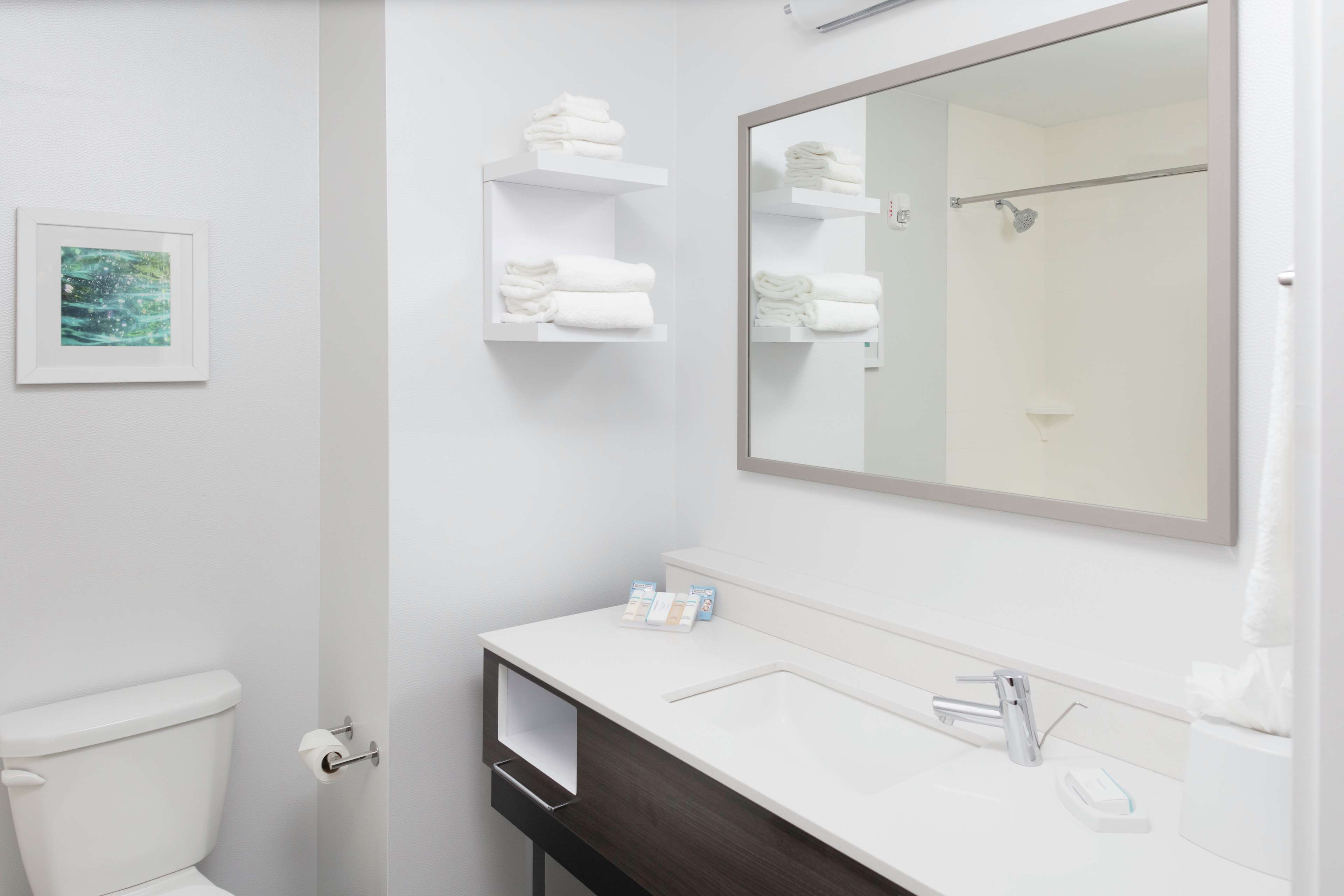 Hampton Inn by Hilton Dunedin Room Type - 2 QN W  FRIDGE MICROWV