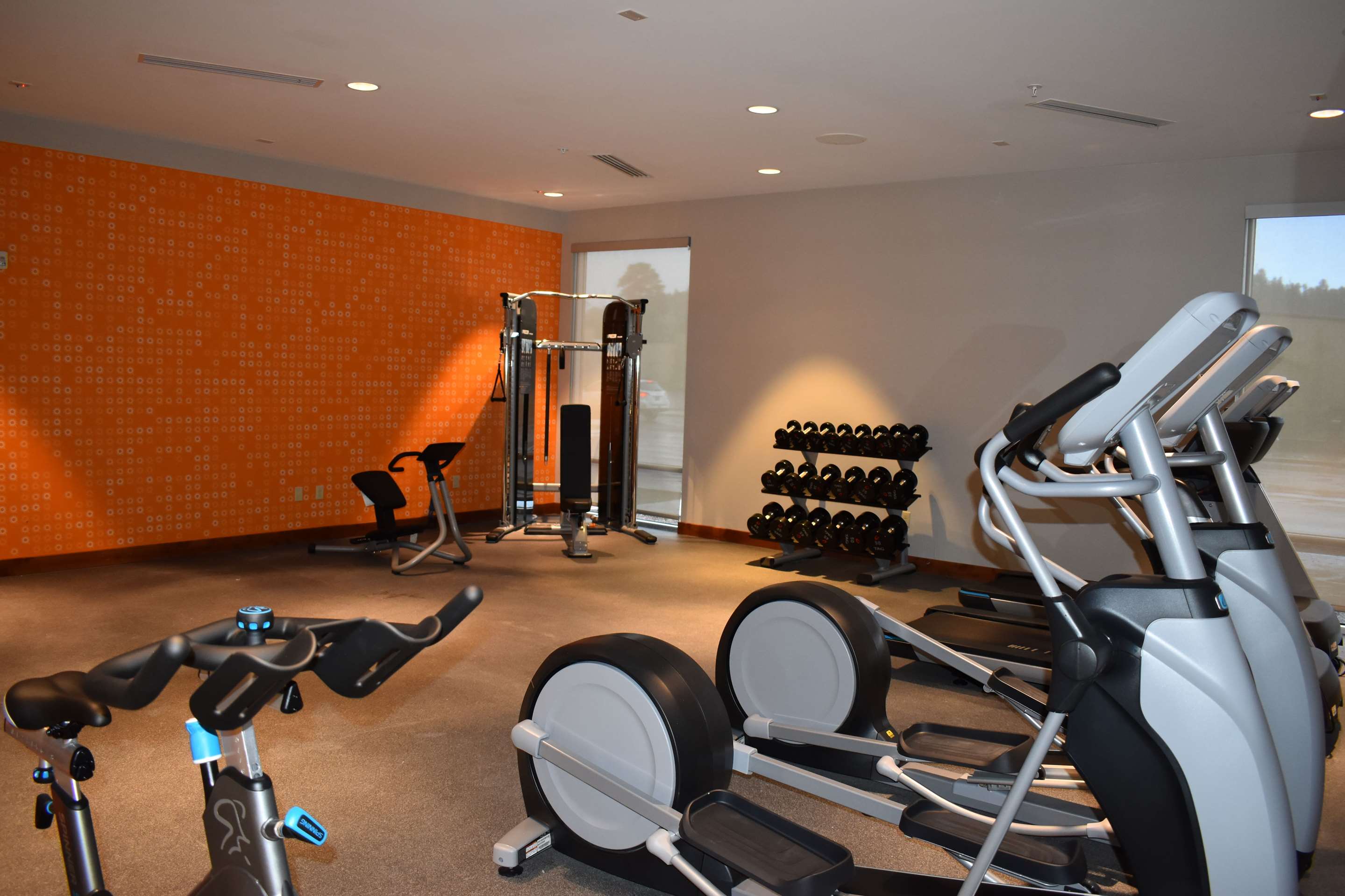 Health club fitness center gym
