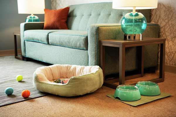  - Home2 Suites by Hilton Brampton