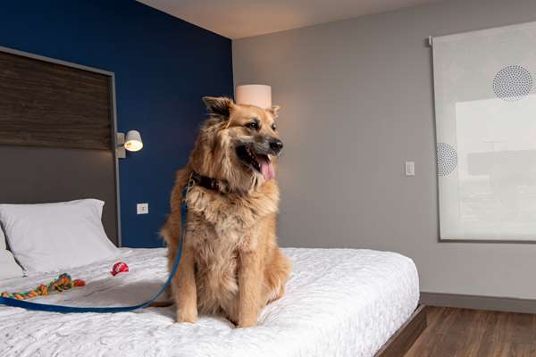  - Tru by Hilton Hotel Rapid City - I-90, Exit 59