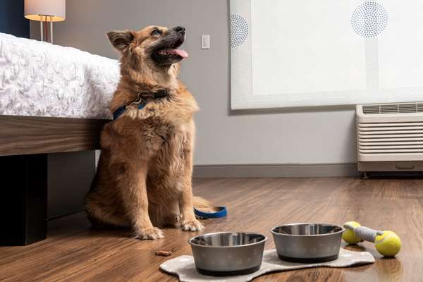  - Tru by Hilton Hotel Rapid City - I-90, Exit 59