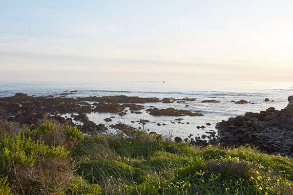 Exterior view - White Water Inn Cambria