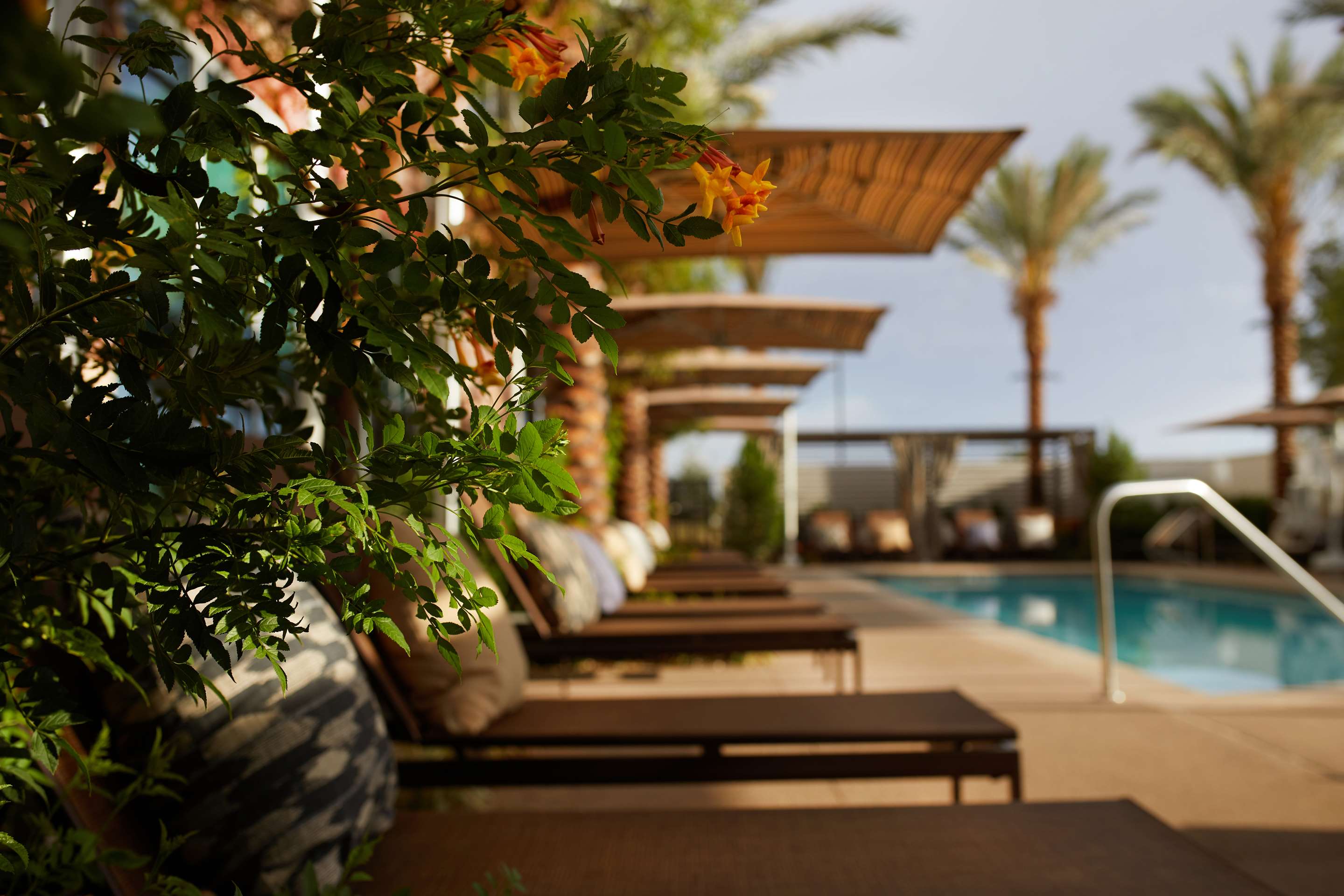 Pool | Hyatt Place Las Vegas at Silverton Village