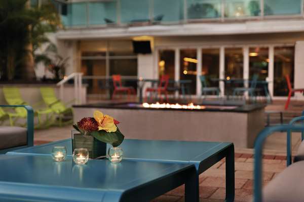 Pool - Hotel Alba Tampa