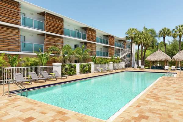 Pool - Hotel Alba Tampa