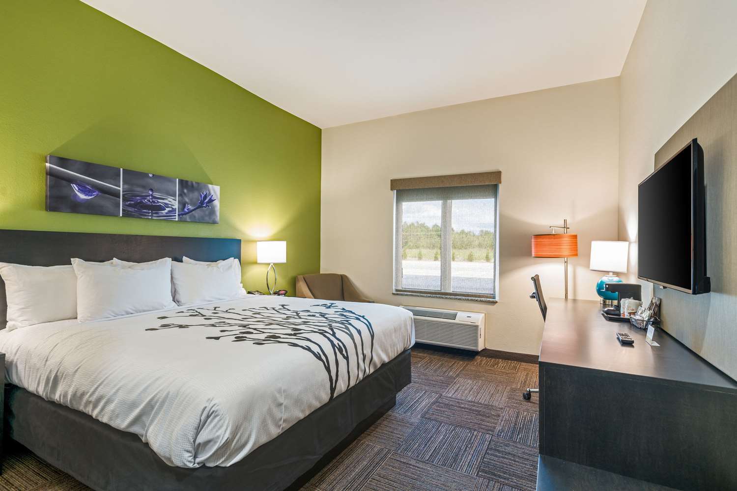 Sleep Inn Baxley, GA See Discounts