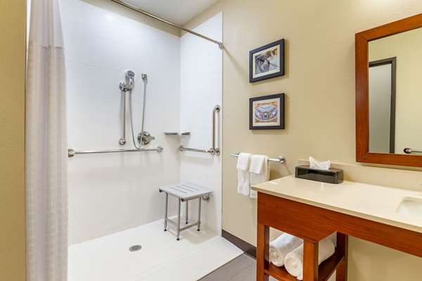  - Comfort Inn & Suites West Des Moines - I-80, Exit 121