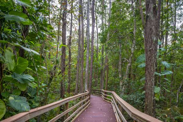  - Parkway International Resort Kissimmee - I-4, Exit 64