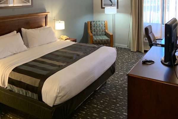 Guest Room,On-Site