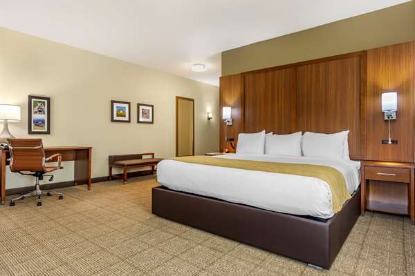  - Comfort Inn & Suites Lakewood - I-5, Exit 124