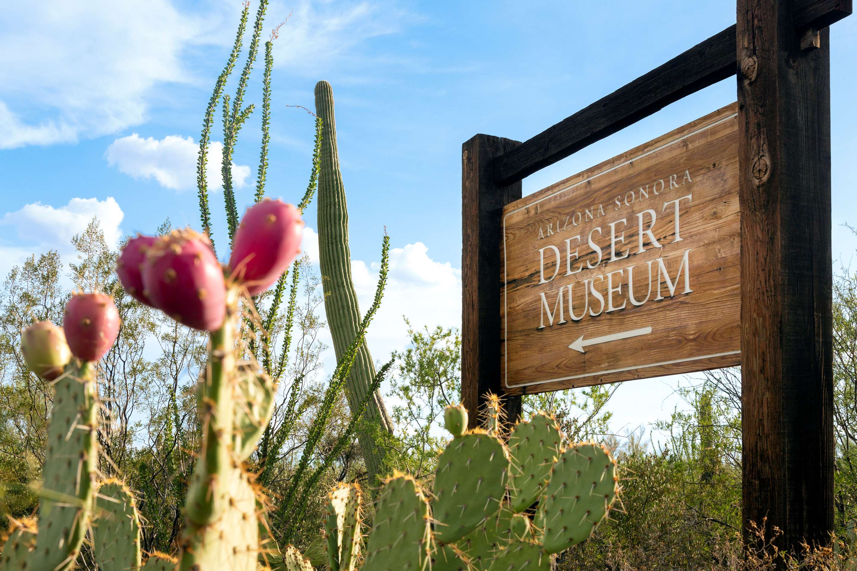 Destination | Hyatt Place Tucson – Central