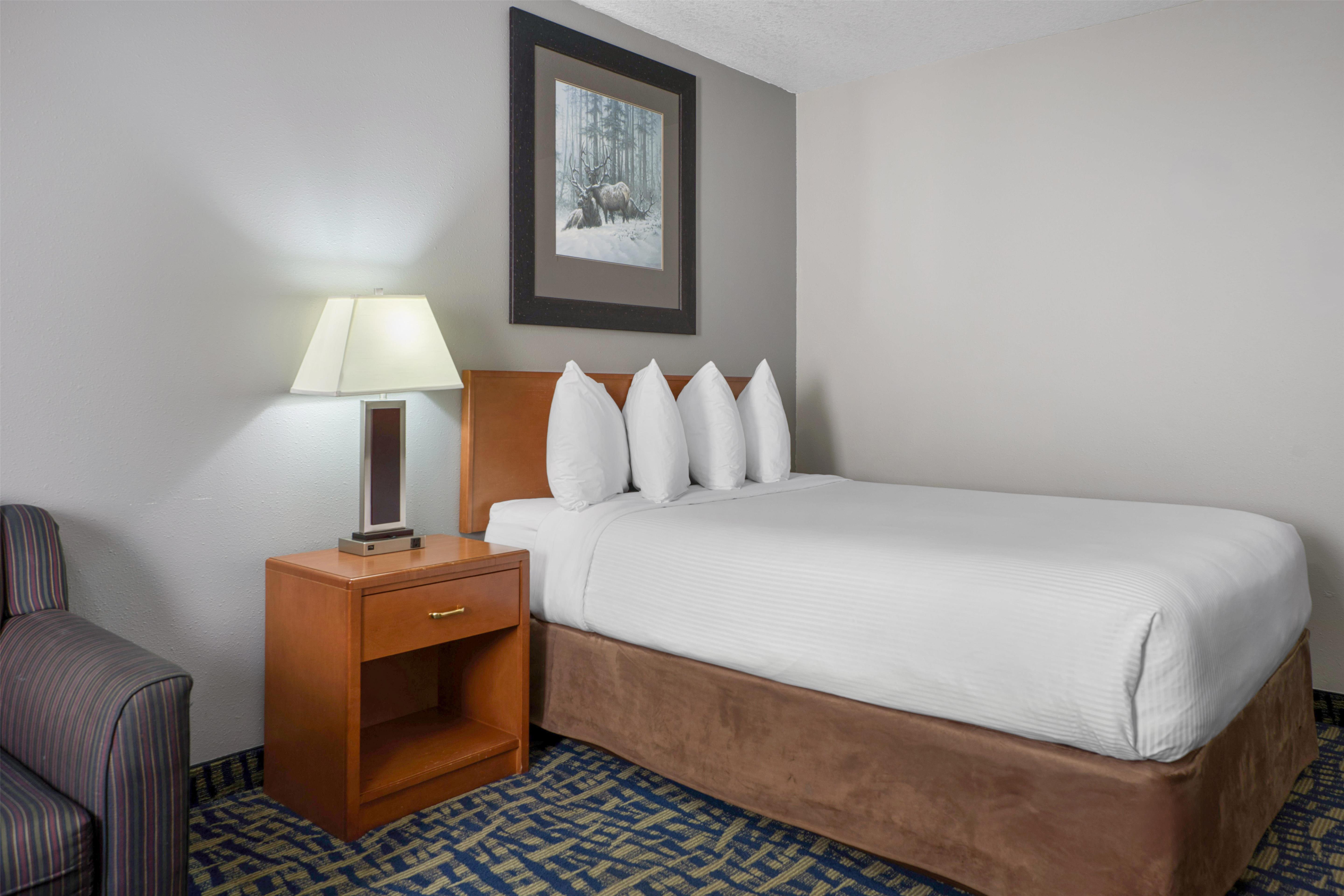 SureStay Plus Hotel by Best Western Lethbridge Room Type - 1 Queen Bed, Non-Smoking, Flat Screen Television, Sofa, Microwave And Refrigerator, High Speed Inter