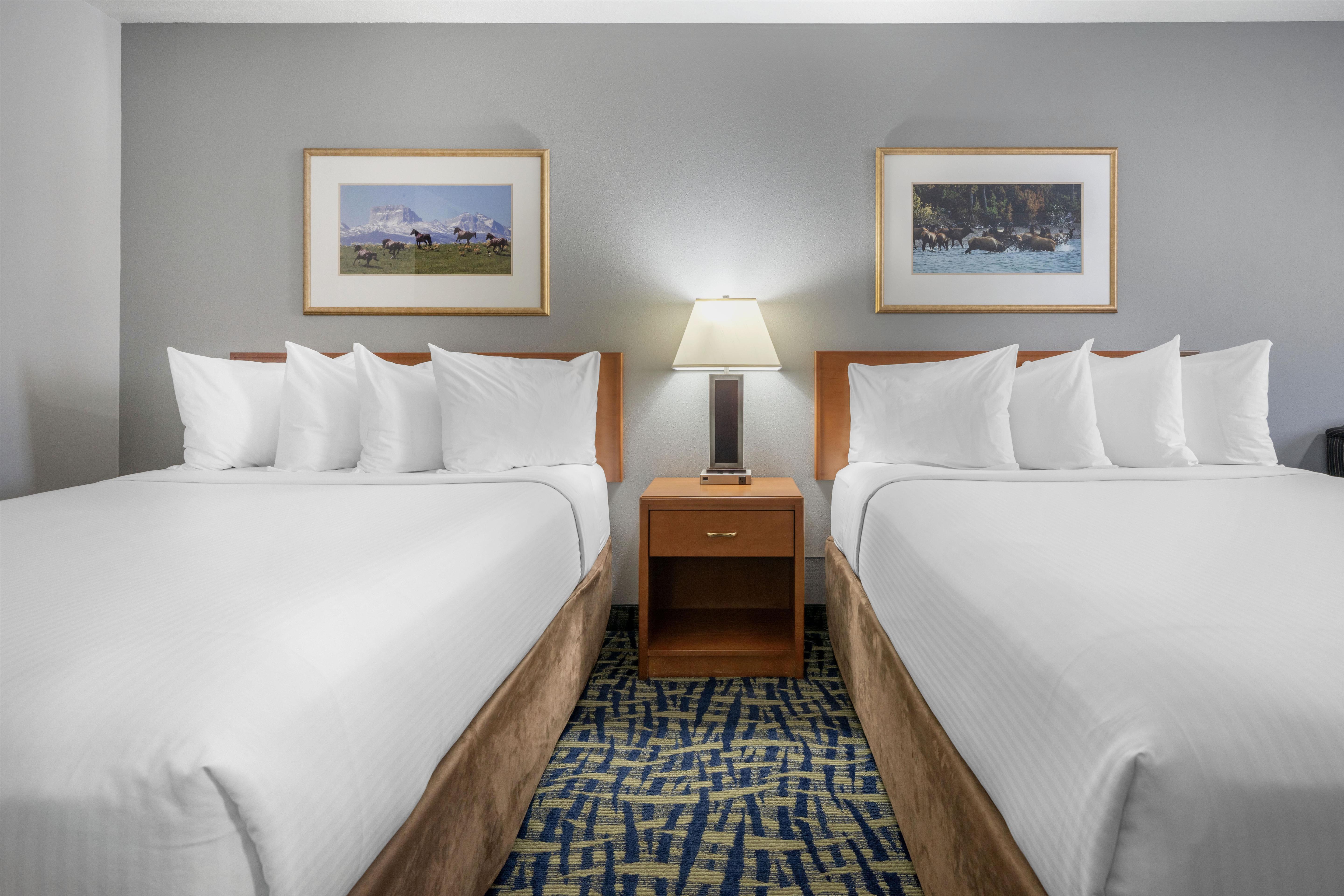 SureStay Plus Hotel by Best Western Lethbridge Room Type - 2 Queen Beds, Non-Smoking, Flat Screen Television, Sofa, Microwave And Refrigerator, High Speed Inte