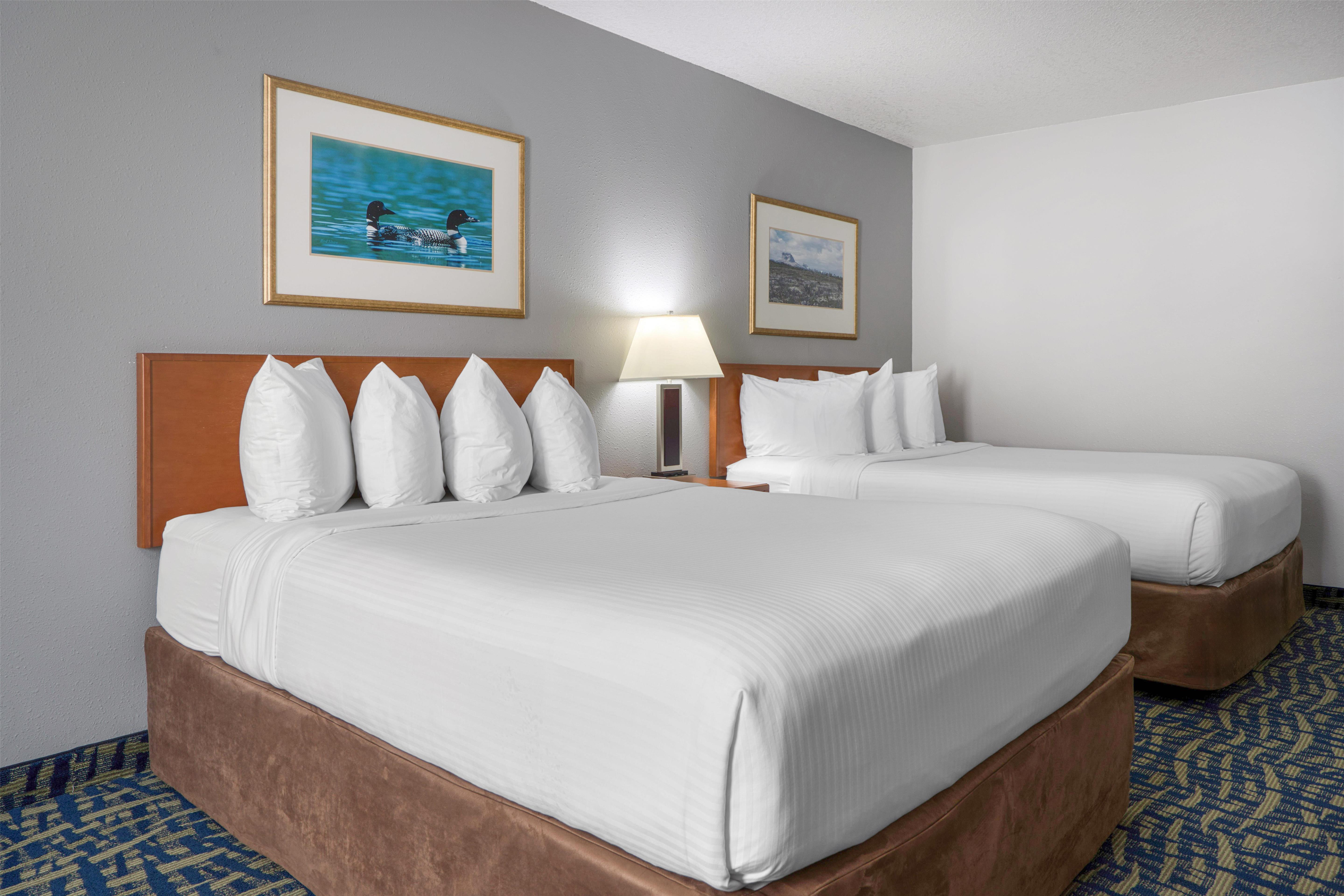 SureStay Plus Hotel by Best Western Lethbridge Room Type - 2 Queen Beds, Non-Smoking, Pet Friendly Room, High Speed Internet Access, Microwave And Refrigerator