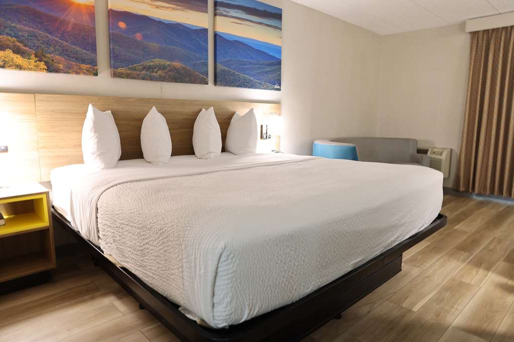 DI DOSWELL KINGS DOMINION-guestroom-Guest Room,On-Site.jpg