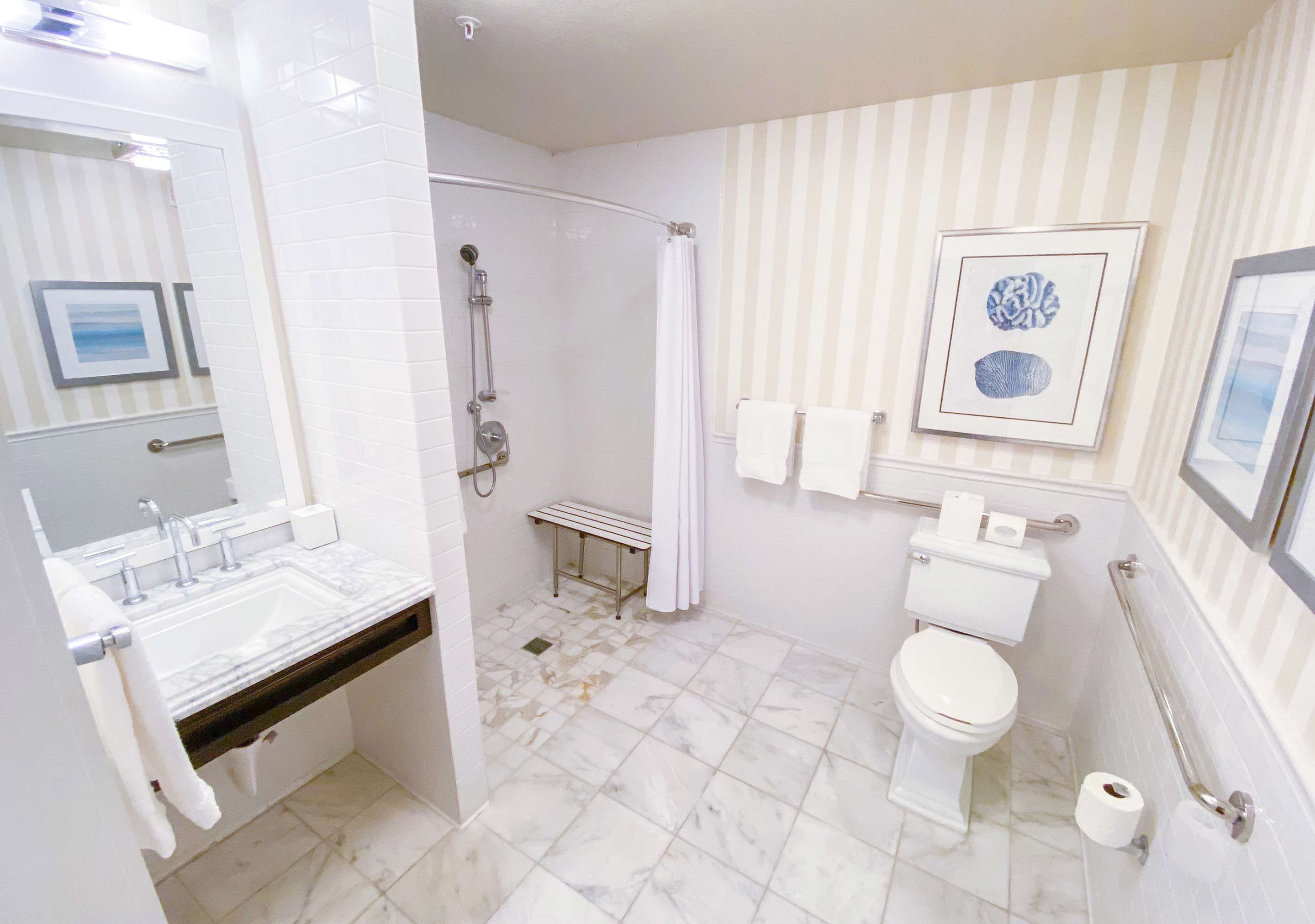 ADA Bathroom Roll in shower