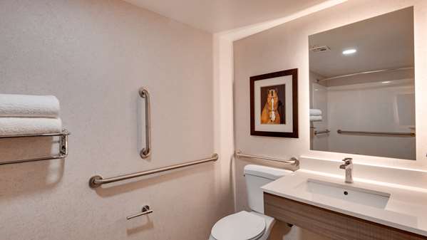 Accessible - 1 King, Mobility Accessible, Walk In Shower, Grab Bar, Bathtub Chair, Keurig Coffee Maker, Non-Smoking
