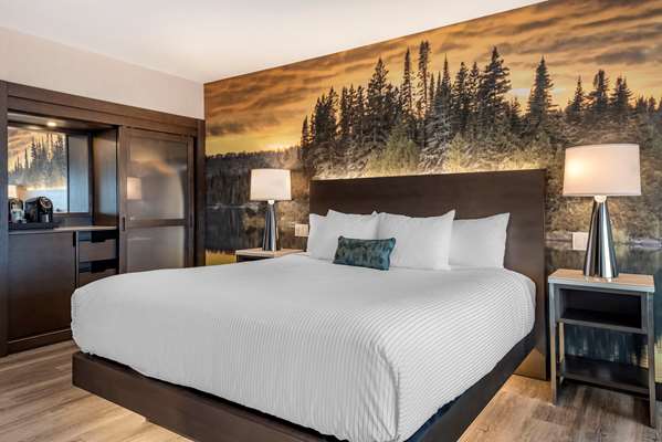  - Cambria Hotel Shelby Township