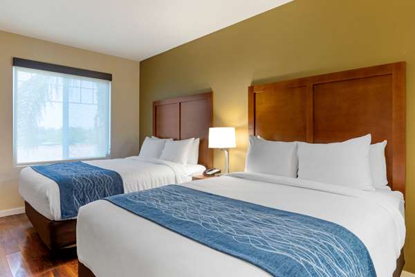 Suite - Comfort Inn & Suites Airport Ontario