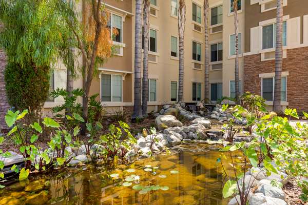 Pool - Comfort Inn & Suites Airport Ontario