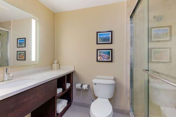  - Comfort Inn & Suites Airport Ontario