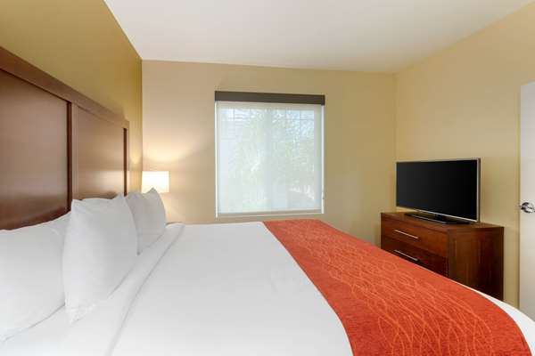 Suite - Comfort Inn & Suites Airport Ontario