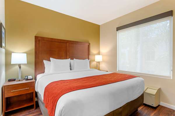Suite - Comfort Inn & Suites Airport Ontario