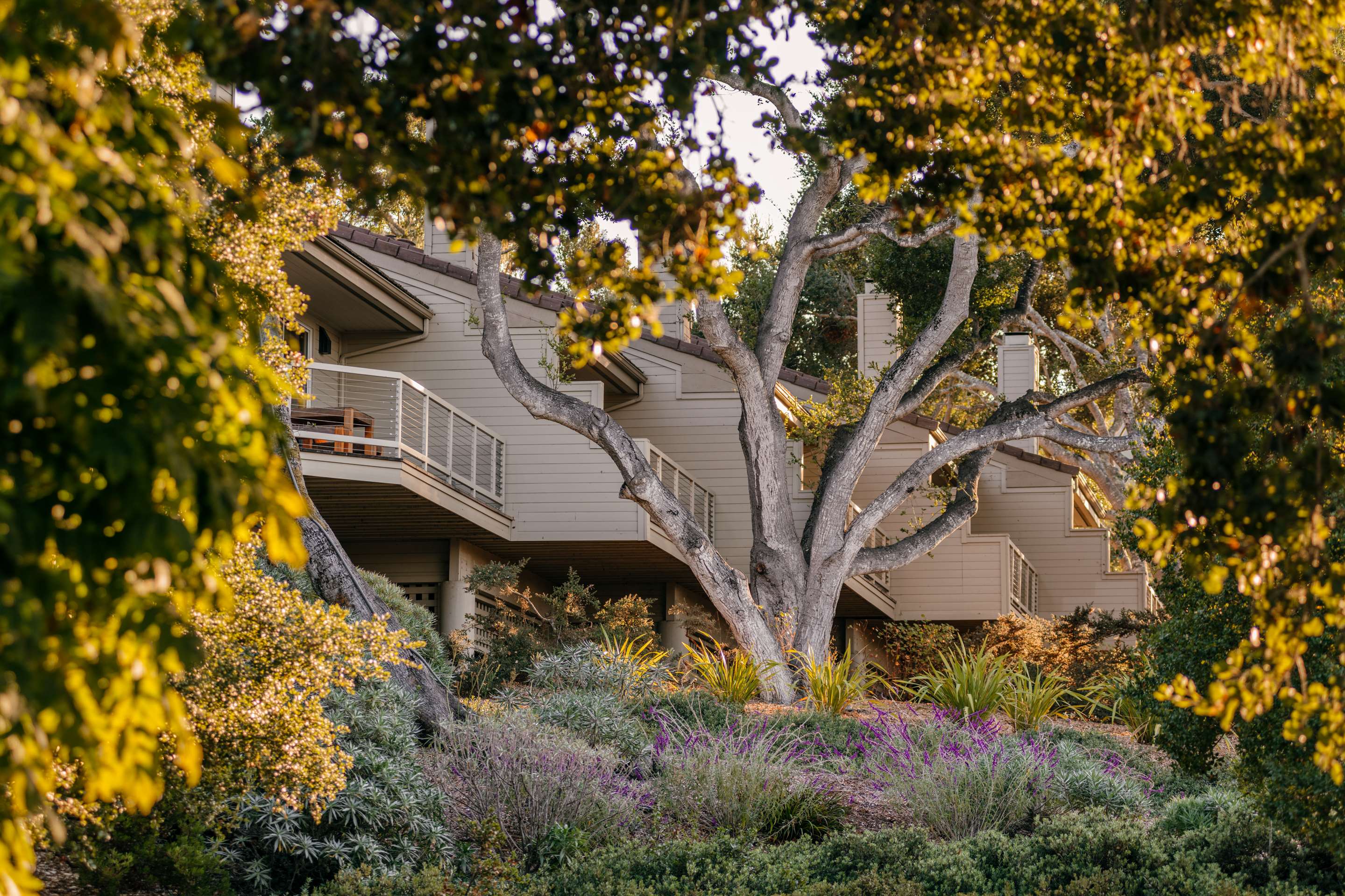 Exterior | Carmel Valley Ranch, in The Unbound Collection by Hyatt