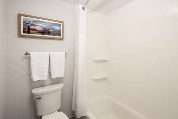 1 King Bed, Non-Smoking, Microwave And Mini-Refrigerator, Wi-Fi, Shower Only, Full Breakfast
