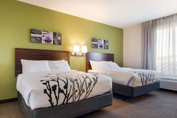 Suite - Sleep Inn Camden