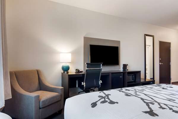 Suite - Sleep Inn Camden