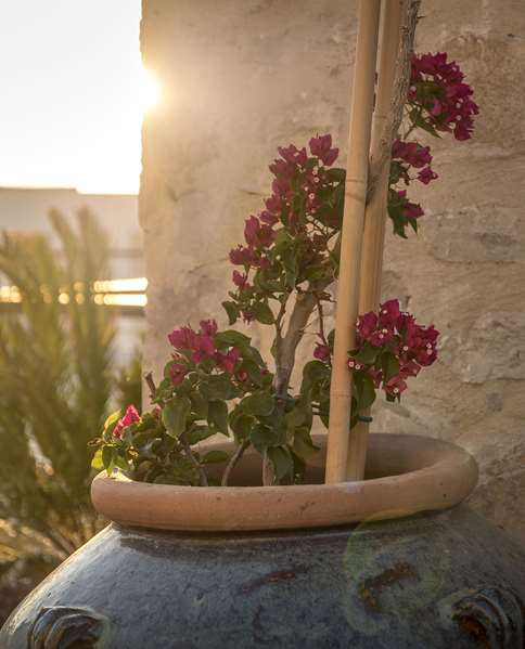 Allium Bodrum Resort & Spa