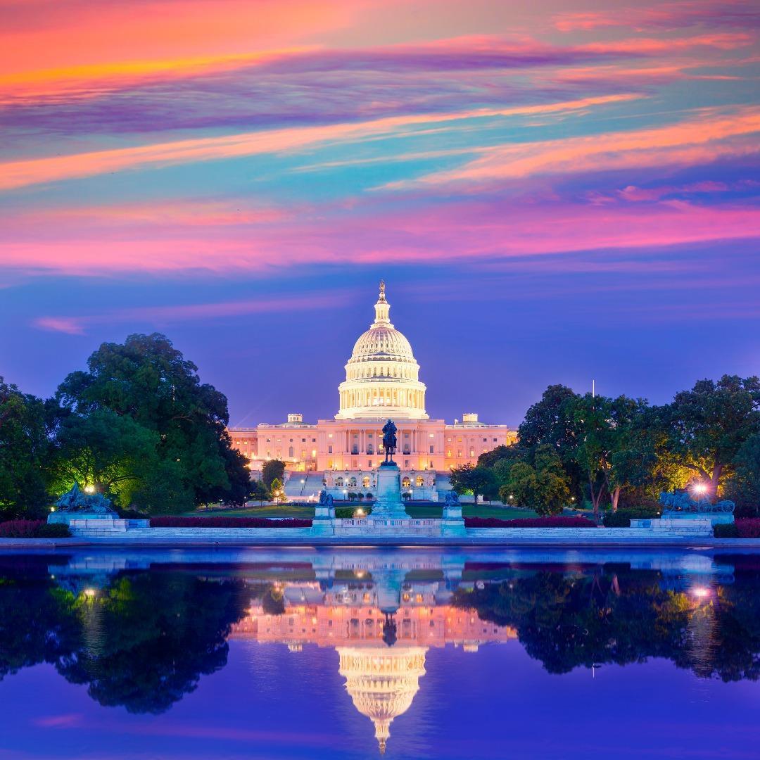 The Capitol