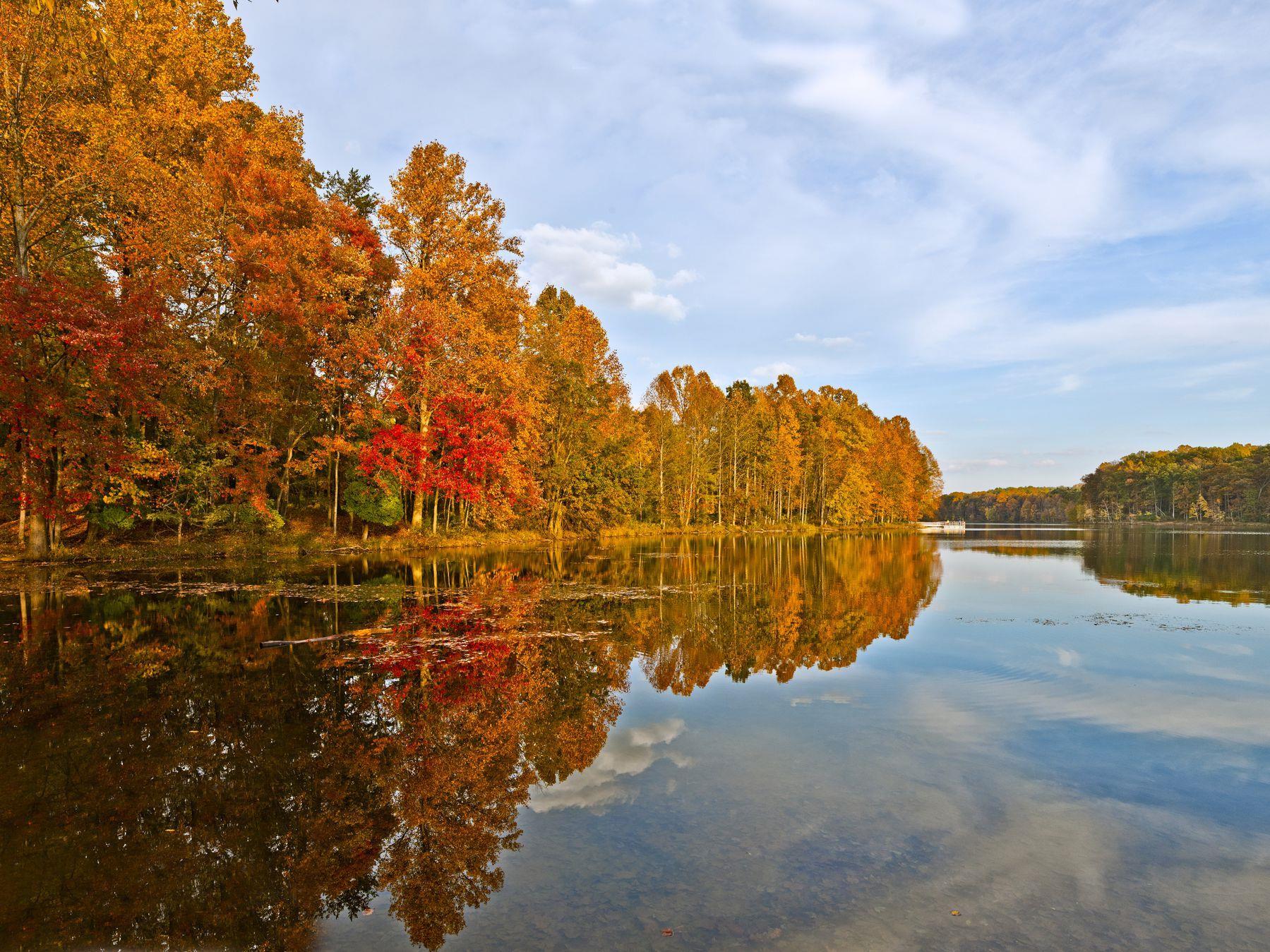 Potomac