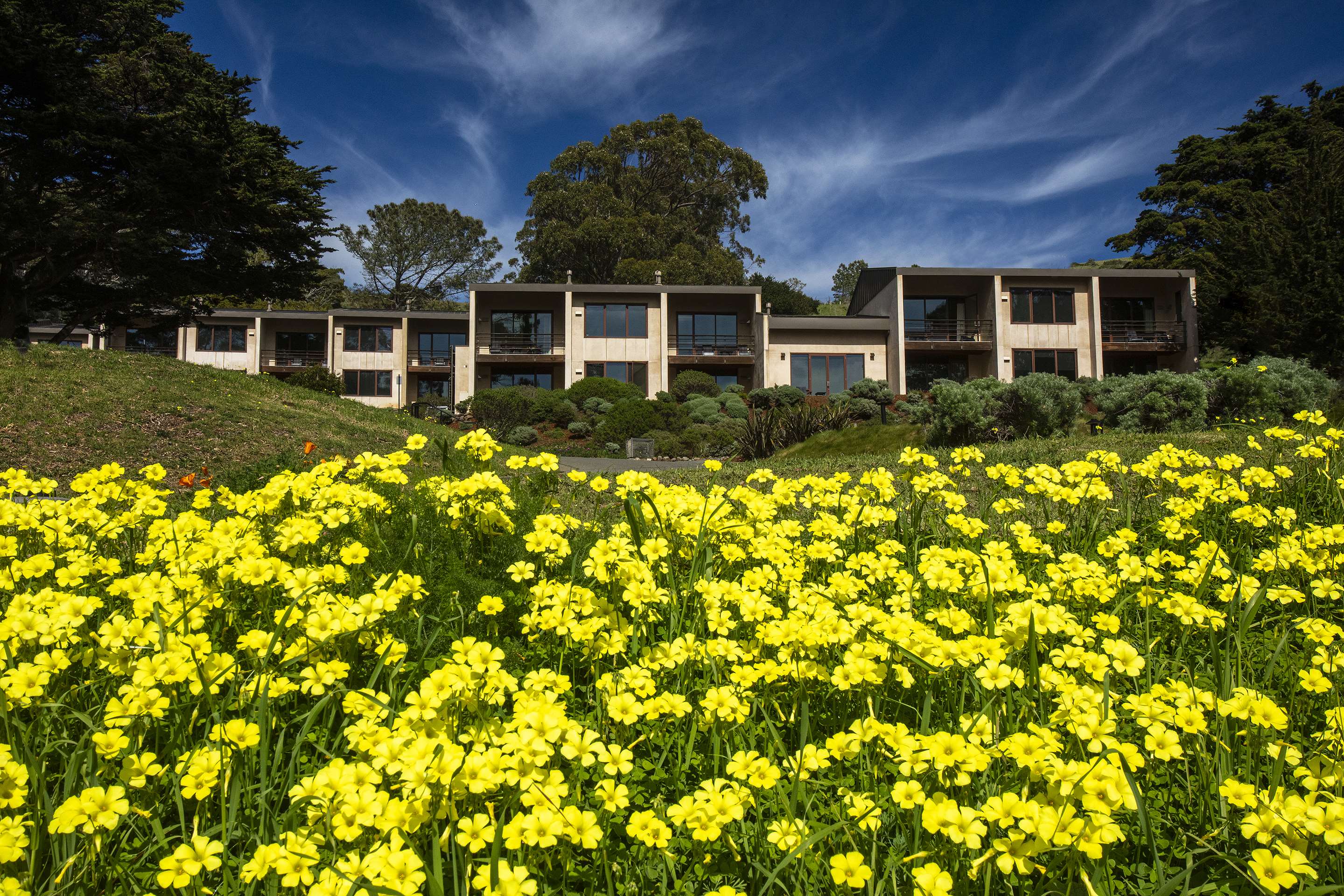 Contemporary Rooms | Cavallo Point