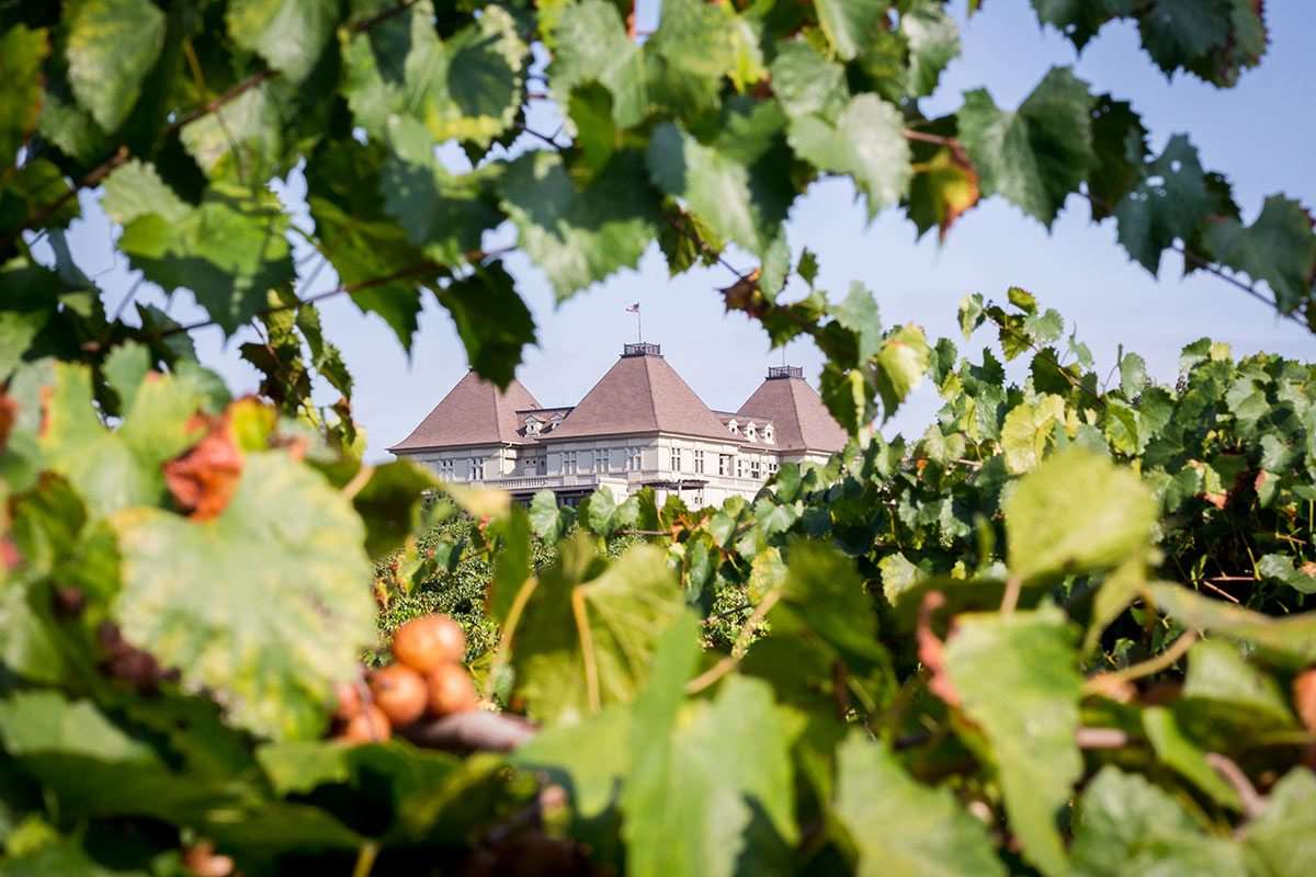 Winery Exterior | Chateau Elan