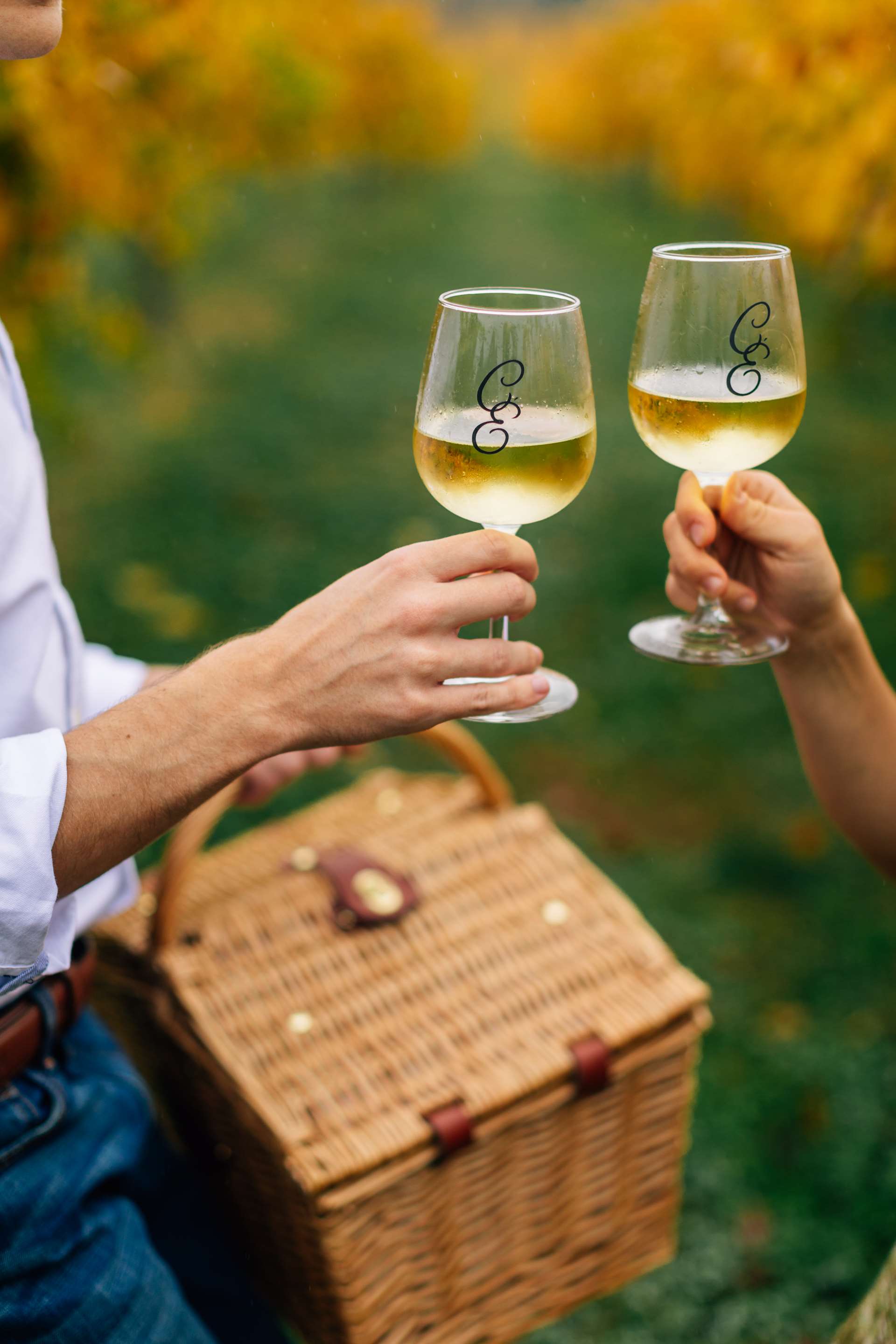 Winery Picnic | Chateau Elan