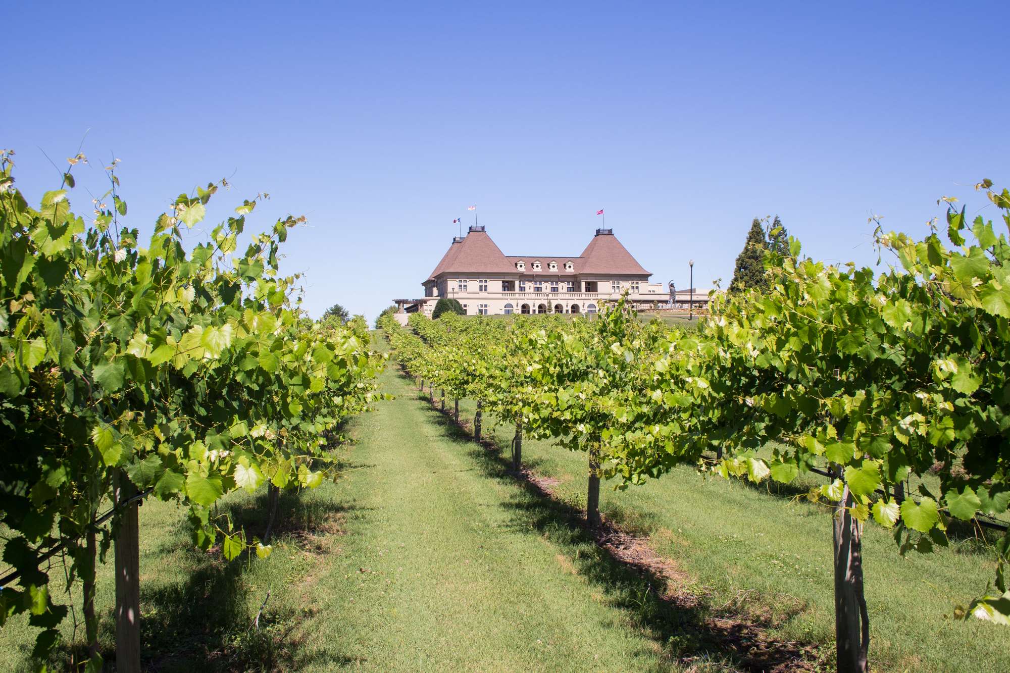 Winery Exterior | Chateau Elan
