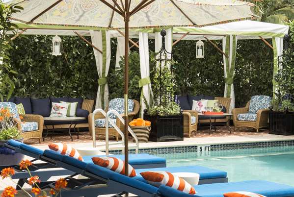 Pool - Circa 39 Hotel Miami Beach