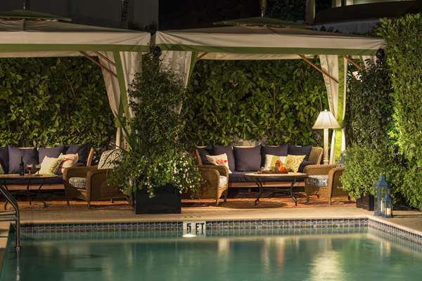 Pool - Circa 39 Hotel Miami Beach