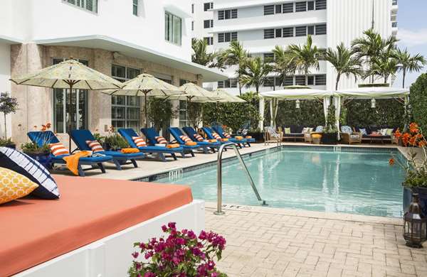 Pool - Circa 39 Hotel Miami Beach