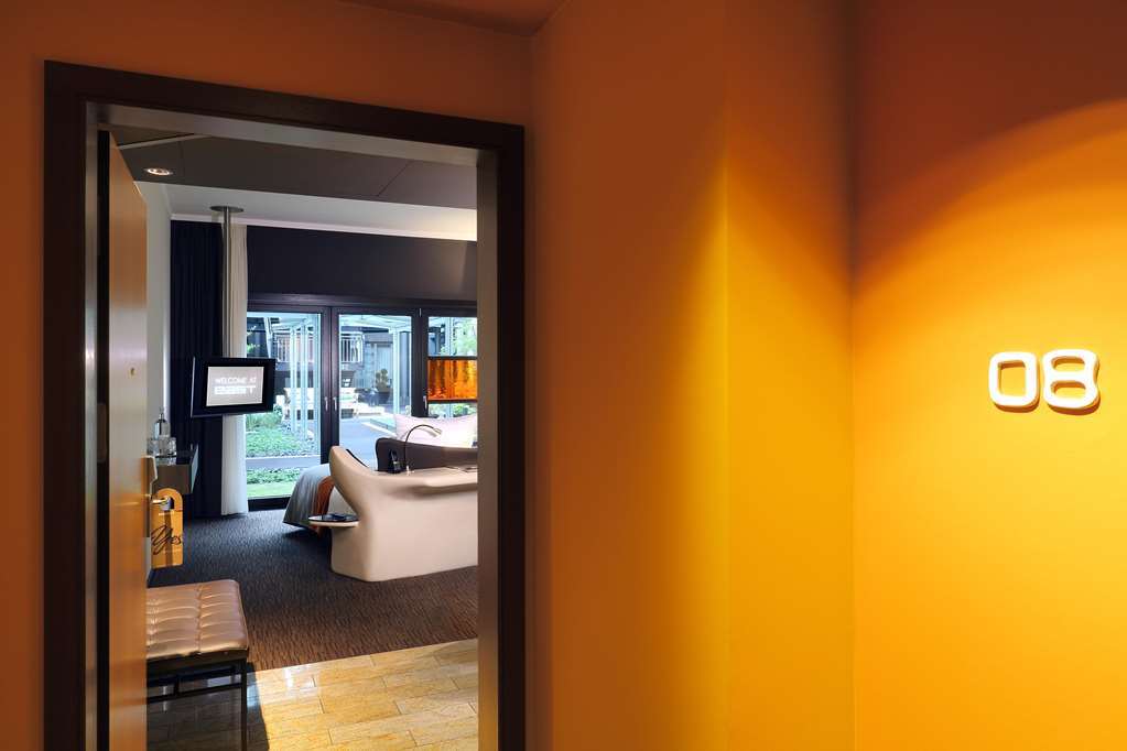 Guest photo